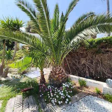 شقة Luxury Beachfront With Pool